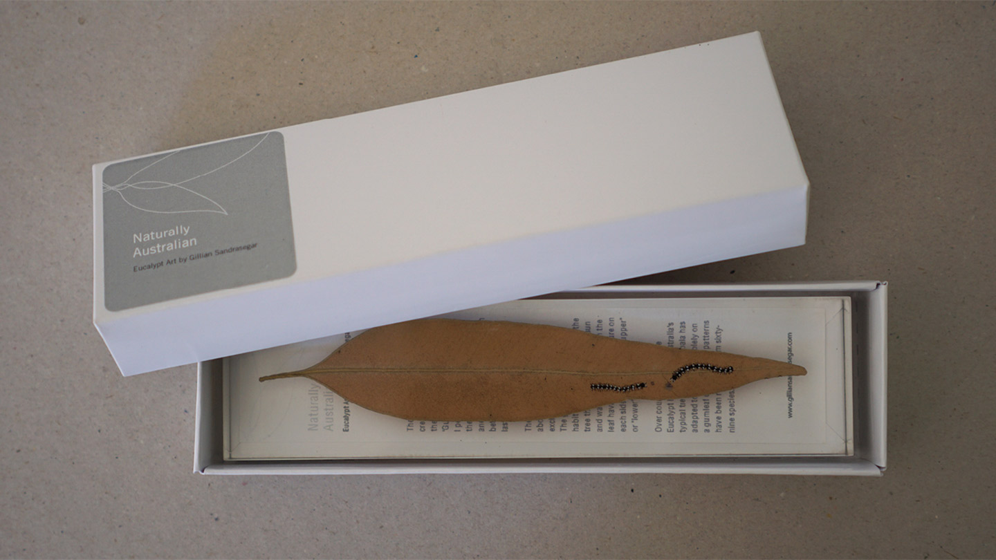 Naturally Australian Eucalypt Art
