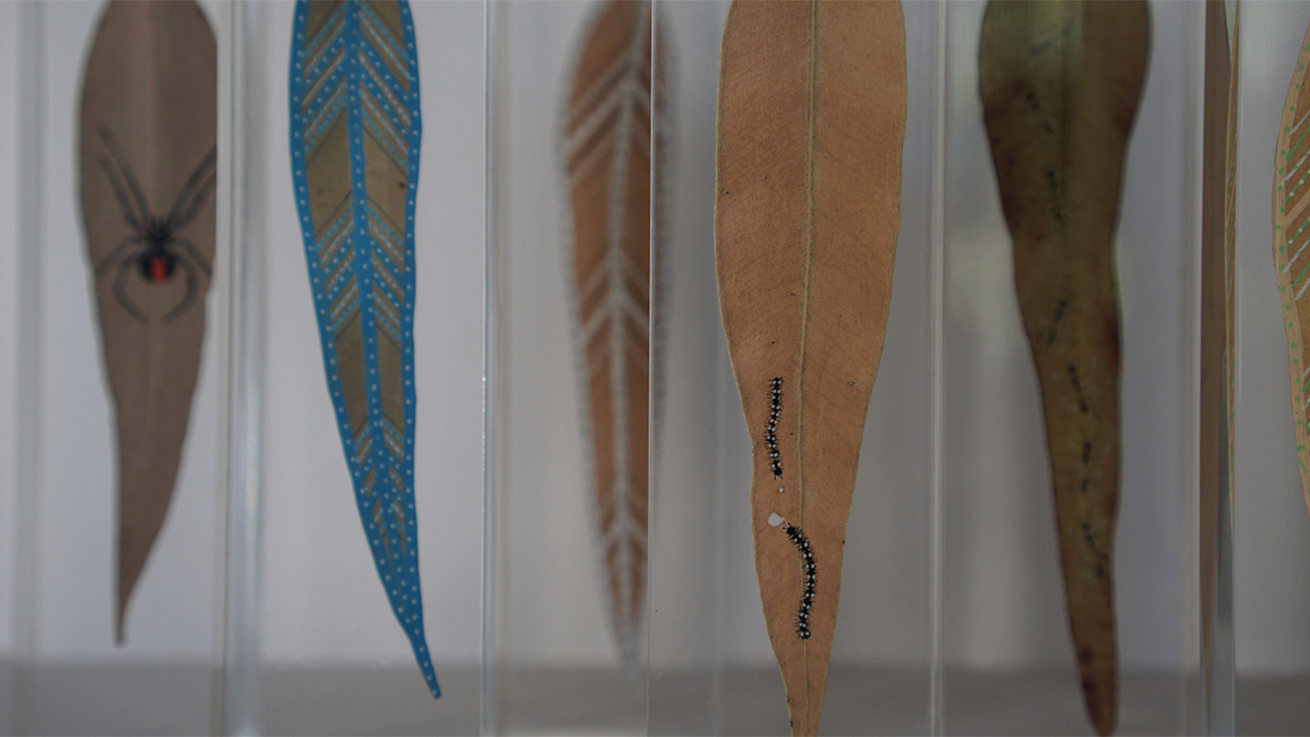 Naturally Australian Eucalypt Art