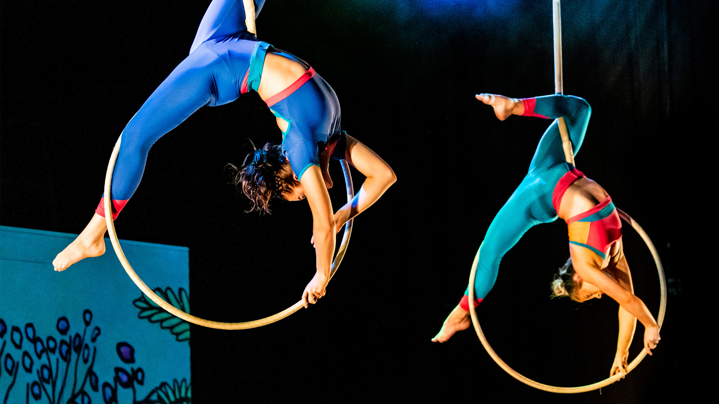 Two aerialist, one dressed in orange and blue leggings and crop top and the other in red and blue leggings and crop top, holds on to the bottom of a large ring suspended in the air, holding their body upside down with tension while in a splits position.