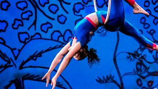 A young female acrobat on an aerial hoop leaning back with her arms stretched out infront of her, her left leg bent and her right leg straight. She is wearing a tight blue crop top and tight blue pants with red around the bottom of the top and around the bottom of the pants. The background is blue with illustrations of a palm tree and different shapes.